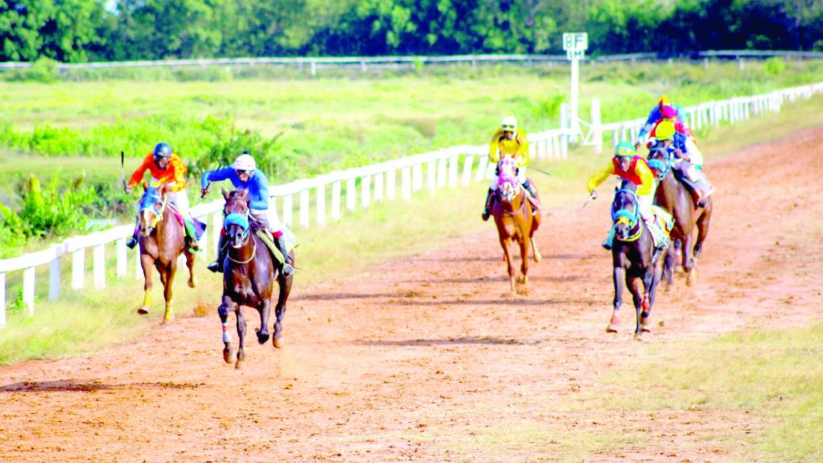 International Standard Horse Racing Looms As Stakeholders Prepare For 