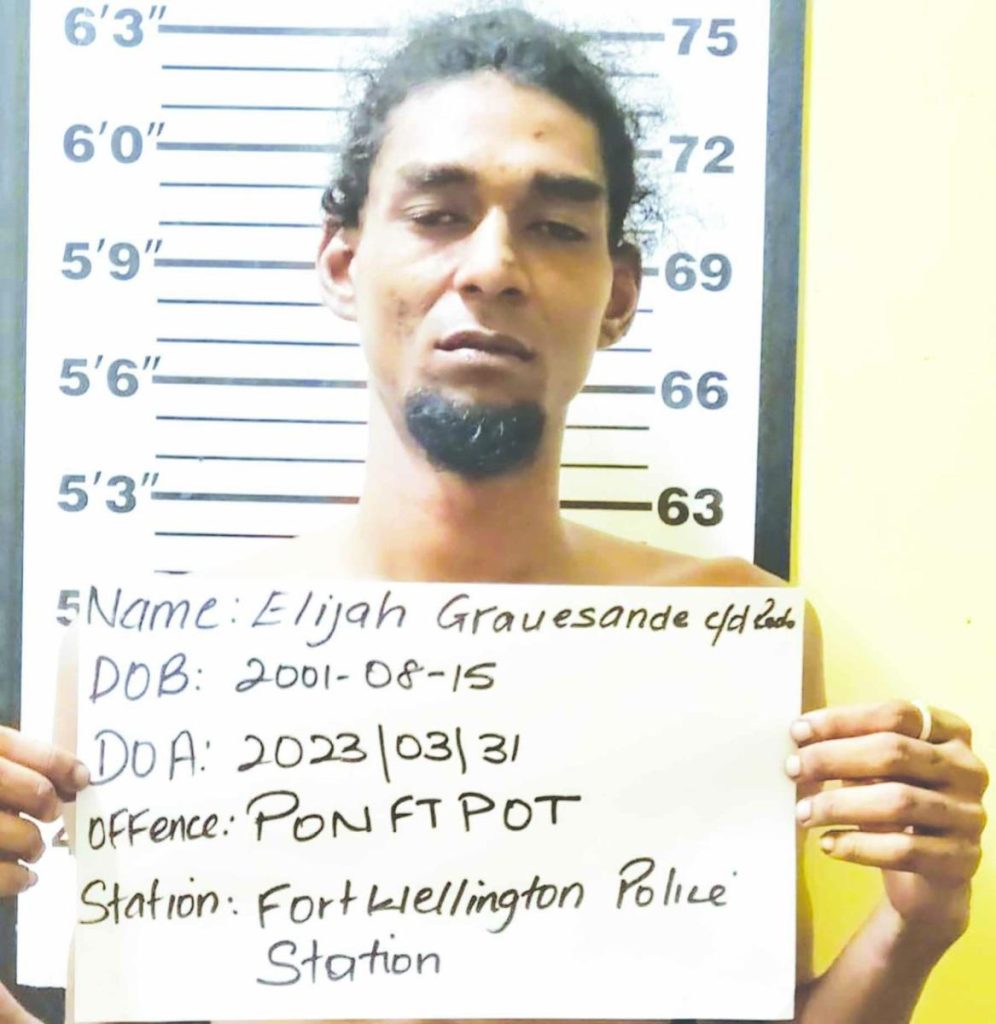 4 arrested during Police operation at Bath Settlement Guyana Times
