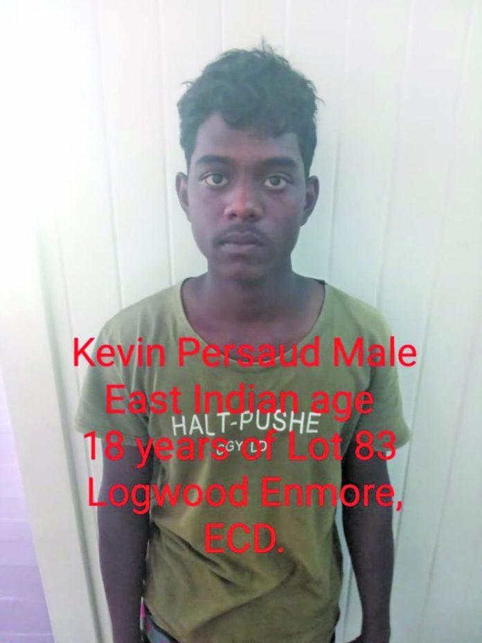 Duo slapped with felonious wounding charges - Guyana Times