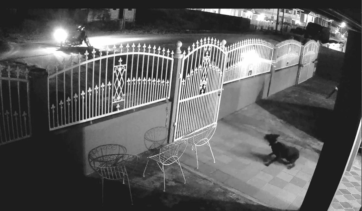 Gunman opens fire on home of photographer in cybercrime trial - Guyana ...