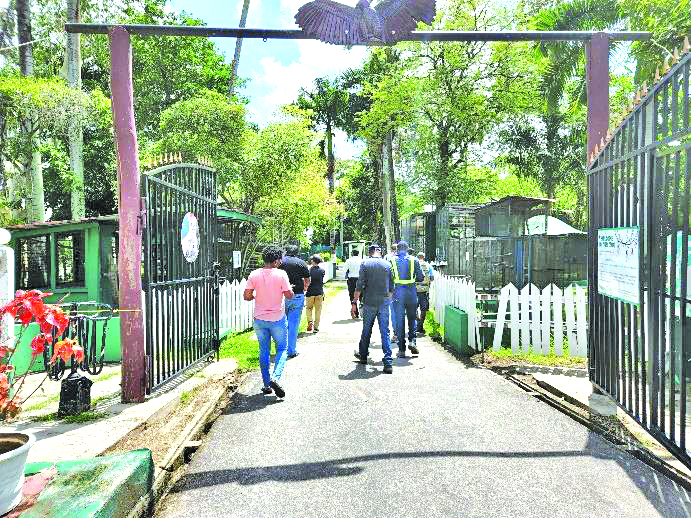 Works ongoing to enhance the Guyana Zoo - Guyana Times