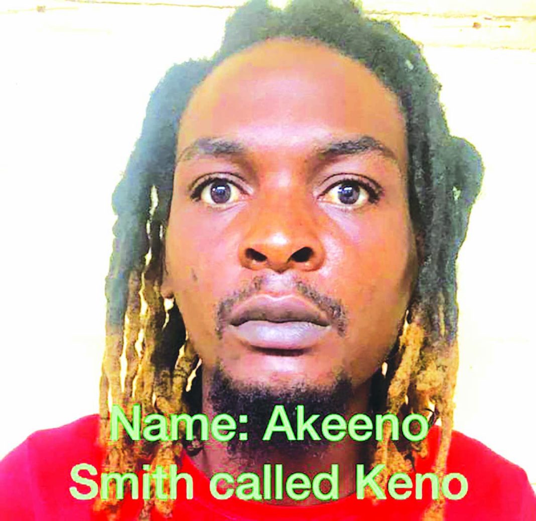 Alleged cattle thief gets $100,000 bail - Guyana Times