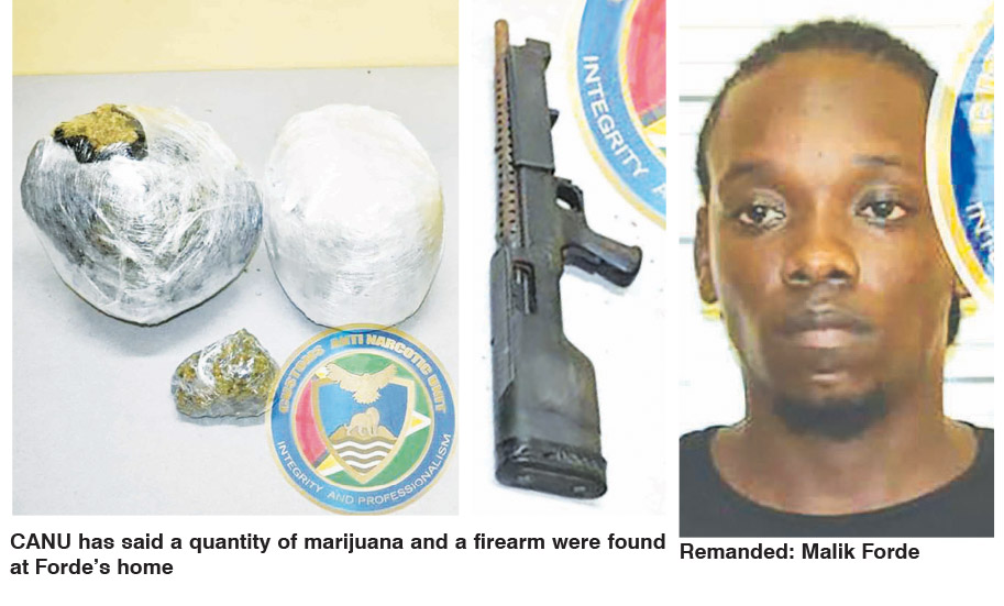 Man, 27, remanded over Herstelling drug bust Guyana Times