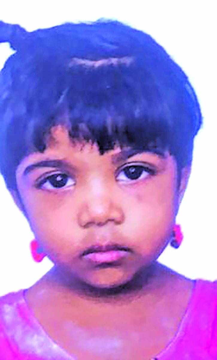 sisters-ages-3-9-die-as-fire-guts-mahaica-home-guyana-times