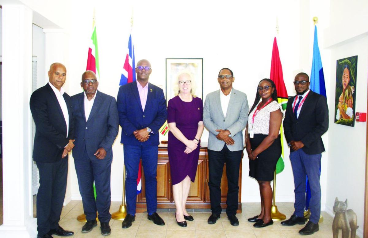 UK businesses interested in importing fruits from Guyana – GCCI ...