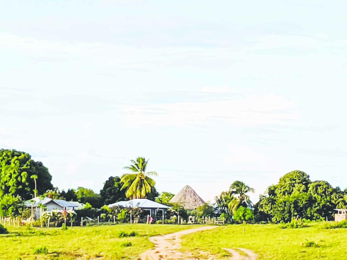 The Wapichan territory Life in South Rupununi Guyana Times