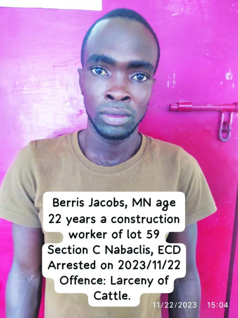 Construction worker charged for stealing cattle - Guyana Times