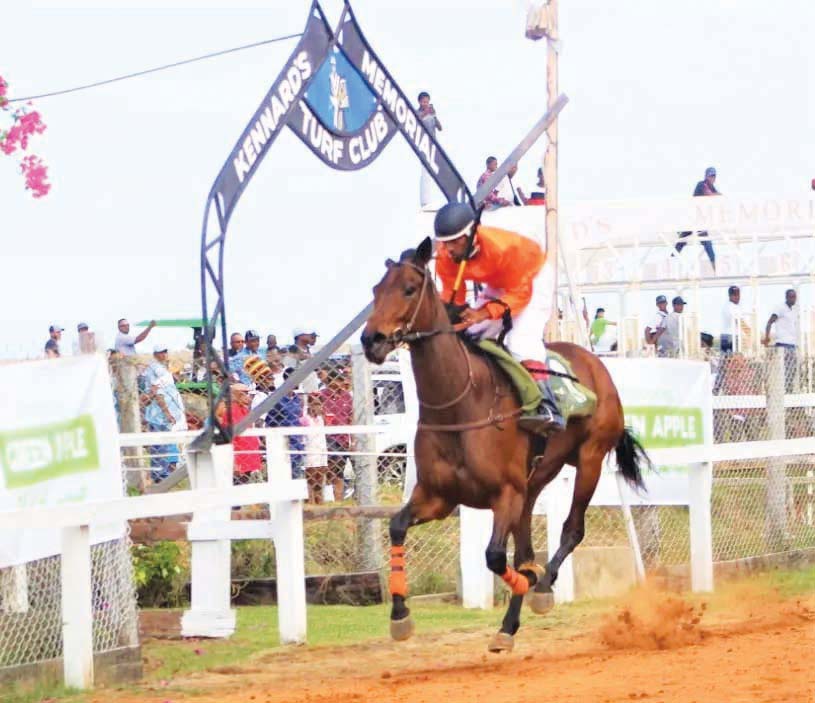 Phagwah horse racing programme set for March 17 - Guyana Times