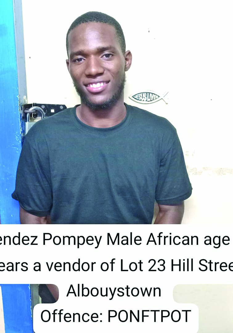 $41,000 fine, community service for vendor found with ganja - Guyana Times