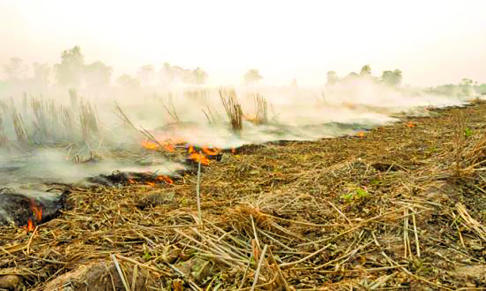 ‘Utter ignorance’ – RPA on EPA’s call for rice farmers to stop burning ...