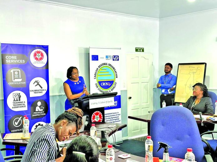 Local businesses must up quality standards to reap benefits of Guyana’s ...