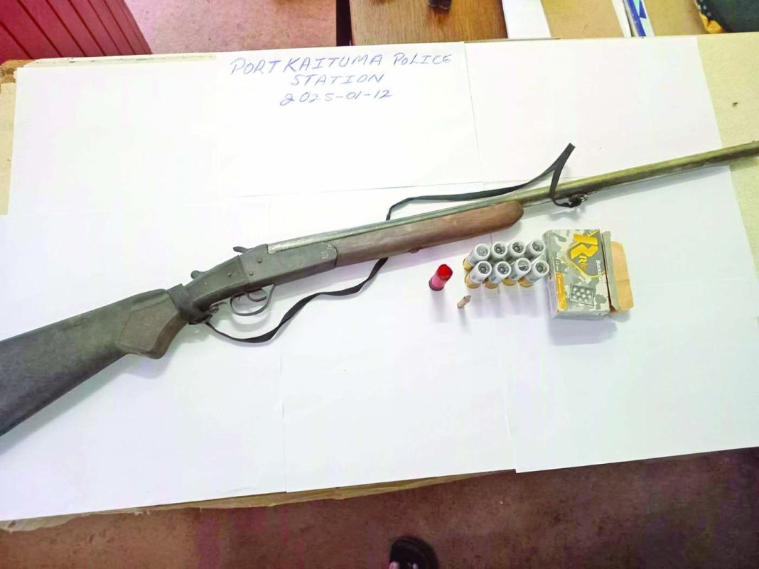 Police find 2 illegal shotguns, ganja during raids - Guyana Times