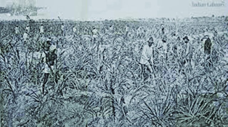 Arrival Day 2025: Indian Labour in Guyana - Guyana Times