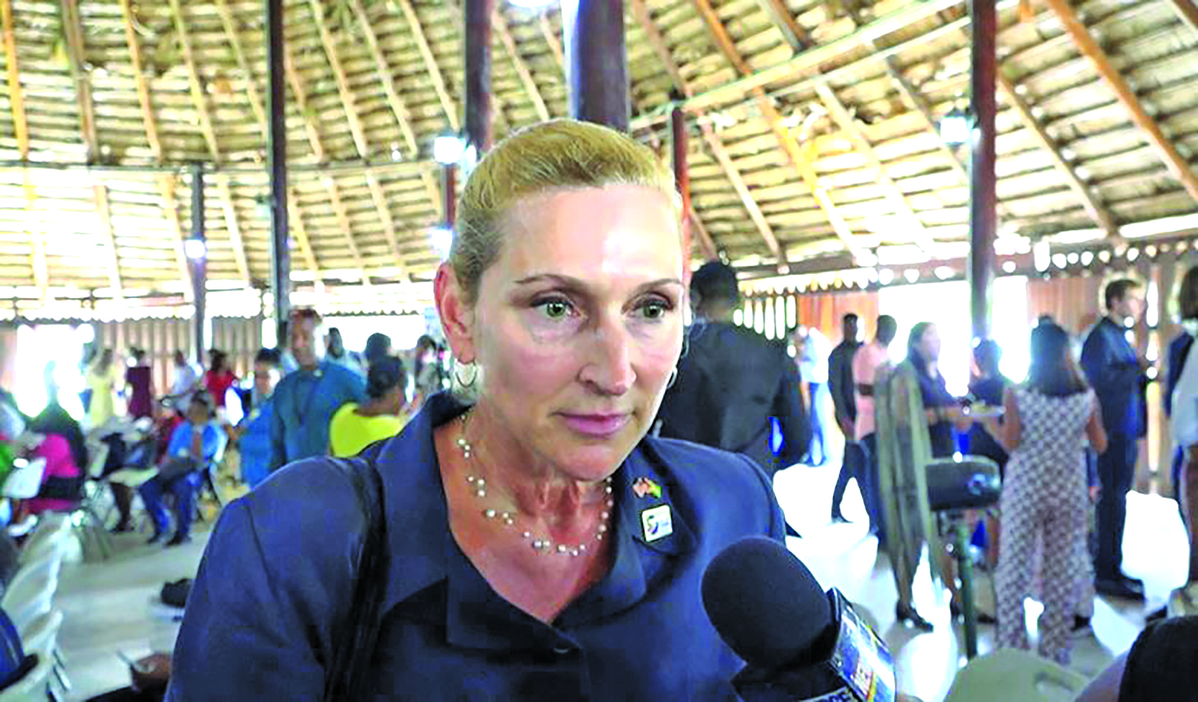 Guyanese exempt from US$15k travel bond – US Ambassador