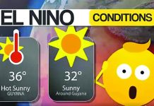 El Niño conditions: Take early measures to safeguard crops, livestock, water resources – Agri Ministry
