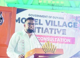 Pres Ali proposes modern poultry hub, tourism, agro-processing push to drive jobs in Region 2