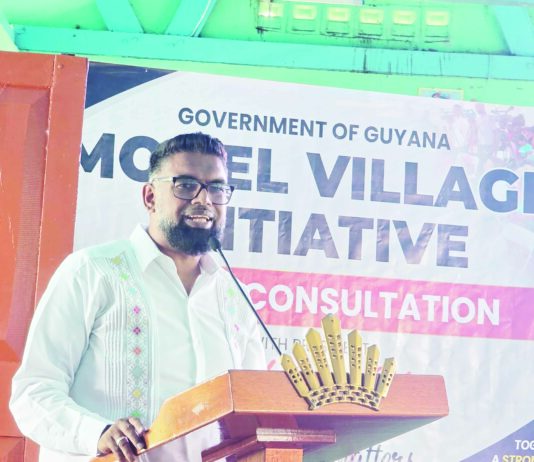 Pres Ali proposes modern poultry hub, tourism, agro-processing push to drive jobs in Region 2