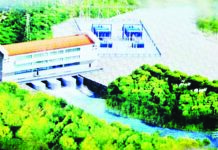 Evaluation team being set up to review bids for Amaila Falls Hydro Project