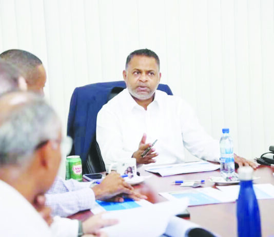 Govt tackles shortfalls in regional generating capacity