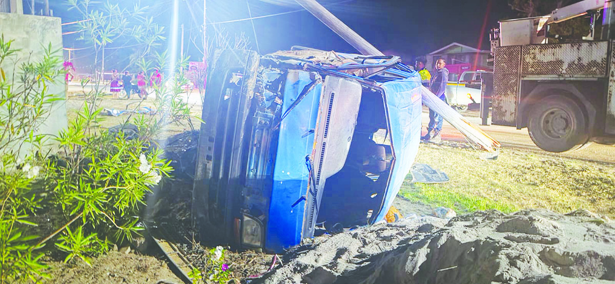 Essequibo Coast bus driver dies after crashing into utility pole