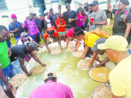 GGMC steps up push for miners to declare gold