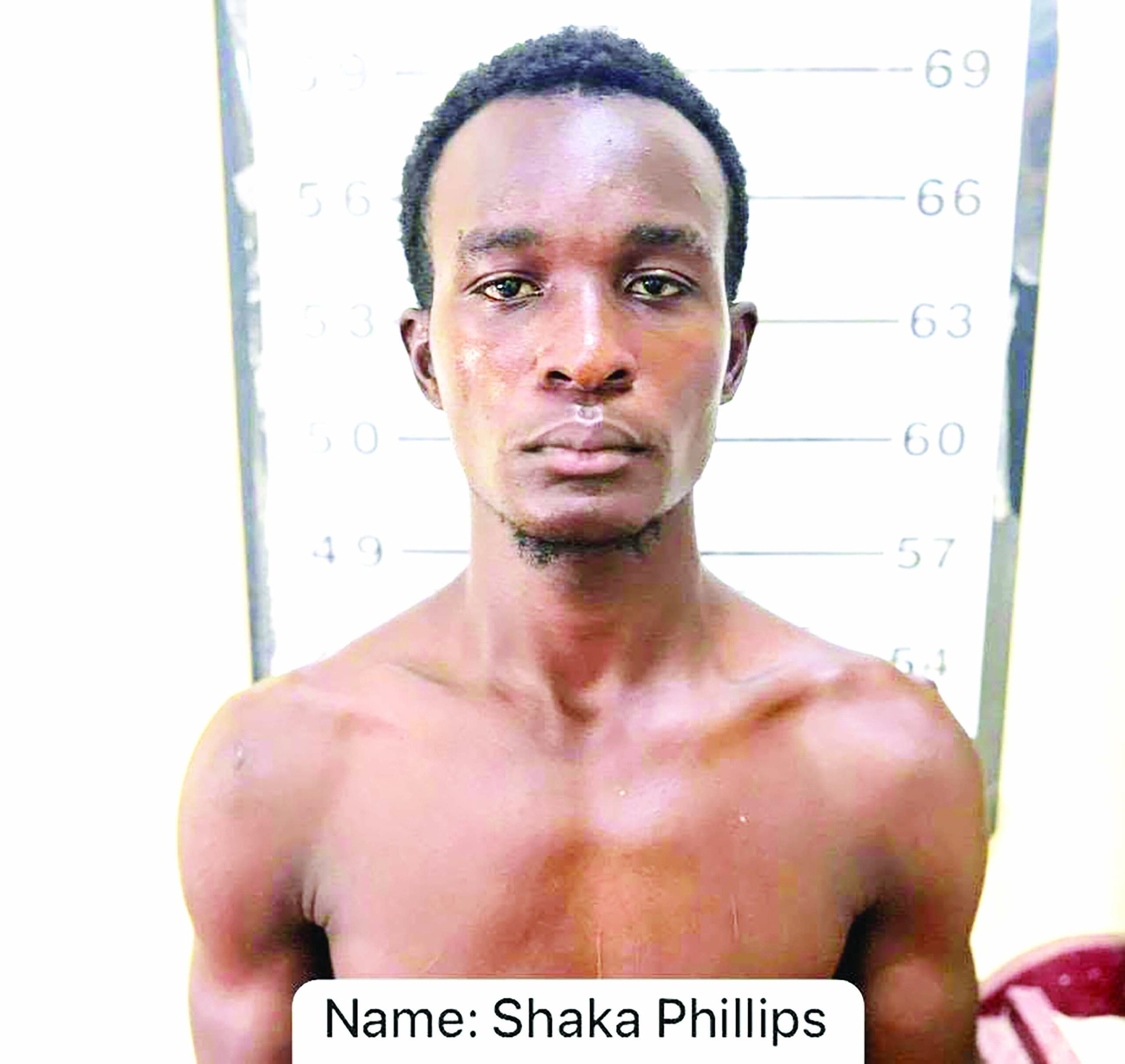 âConcrete manâ admits to killing Linden teacher
