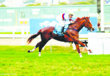 Slingerz Racing adds Brazilian G1 performer VITRUVIAN to formidable Guyana Cup line-up
