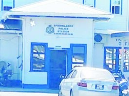 Senior cops implicated in alleged licence fraud