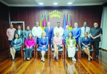 Pres Ali leads high-level talks with US lawmakers on security, regional stability