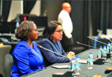 UN must examine past conflict landscape to find new paths to peace – Rodrigues-Birkett