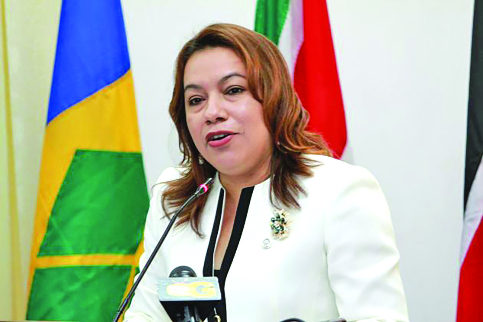 Guyana’s Ambassador to use global voice push fairer financing for developing countries
