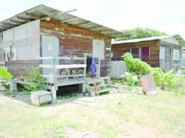 Remaining Cummings Park squatters ordered to relocate within 10 days