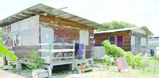 Remaining Cummings Park squatters ordered to relocate within 10 days