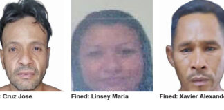 3 Venezuelans fined $300,000 for trespassing on Lethem aerodrome