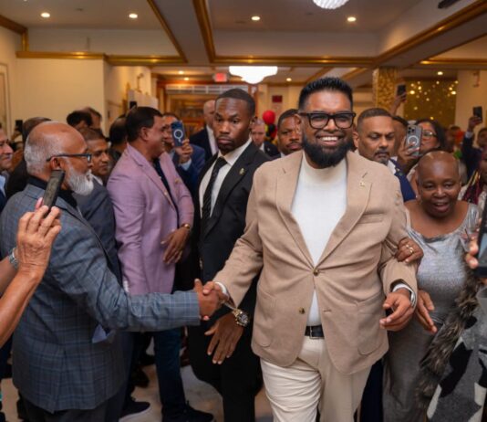 Pres Ali announces State-backed diaspora investment vehicle for major projects at NY forum