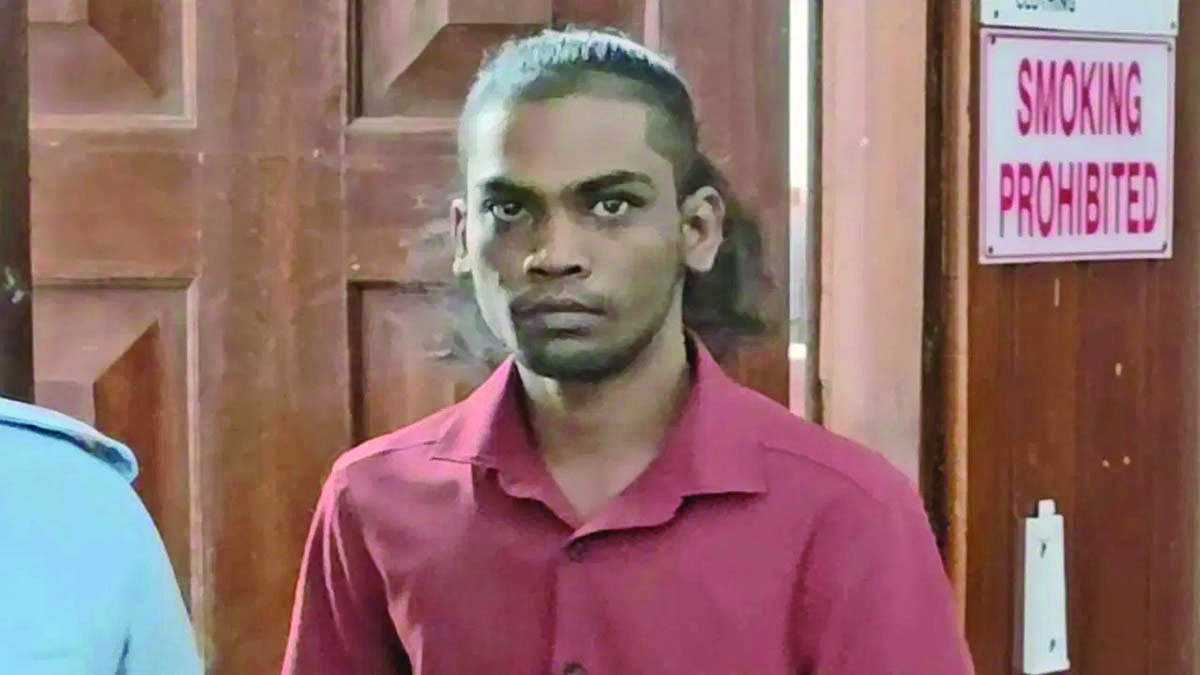 Akash Singh pleads guilty to manslaughter in Henry cousins’ killings