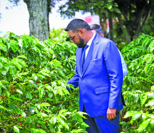 Agriculture Month 2026: Pres Ali targets Caribbean food capital status as Guyana ramps up agriculture