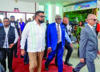 Pres Ali orders aviation laws review to close safety gaps, strengthen standards