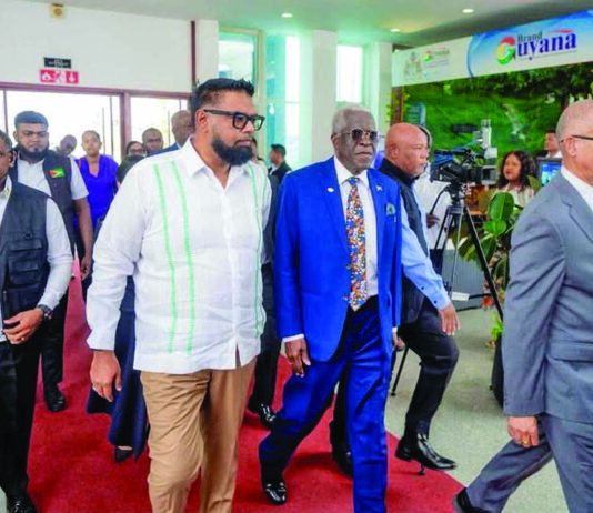 Pres Ali orders aviation laws review to close safety gaps, strengthen standards