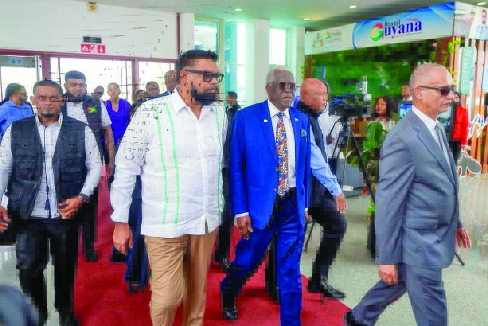 Pres Ali orders aviation laws review to close safety gaps, strengthen standards