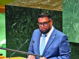 Pres Ali lobbies UNSC Permanent Members to support Amb Rodrigues-Birkett for UN top post
