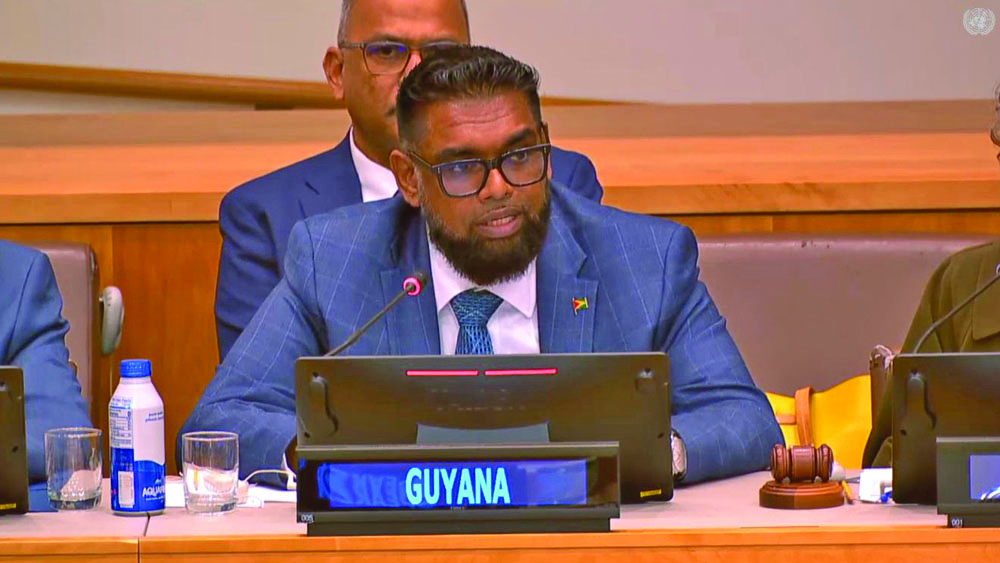 “We can prevent an outbreak from becoming another catastrophe” – Pres Ali tells UN forum
