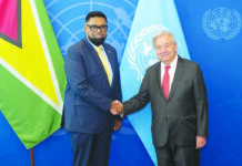 Guyana has championed United Nations initiatives for 60 years – Govt on membership
