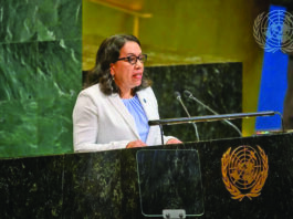 “Do it for all of us” – Jamaica’s House Speaker endorses Amb Rodrigues-Birkett