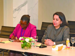 Guyana’s Ambassador tells world leaders to trust her with impartial, sound peacekeeping solutions
