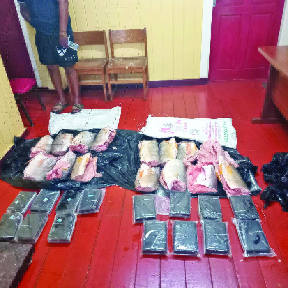 36 lbs of cocaine found hidden in frozen fish