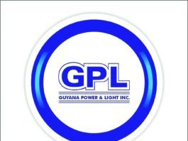 Govt to overhaul power grid as demand projected to double by 2029