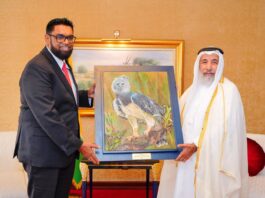 3-day State visit: President Ali advances Qatar talks on energy, finance, food security, climate
