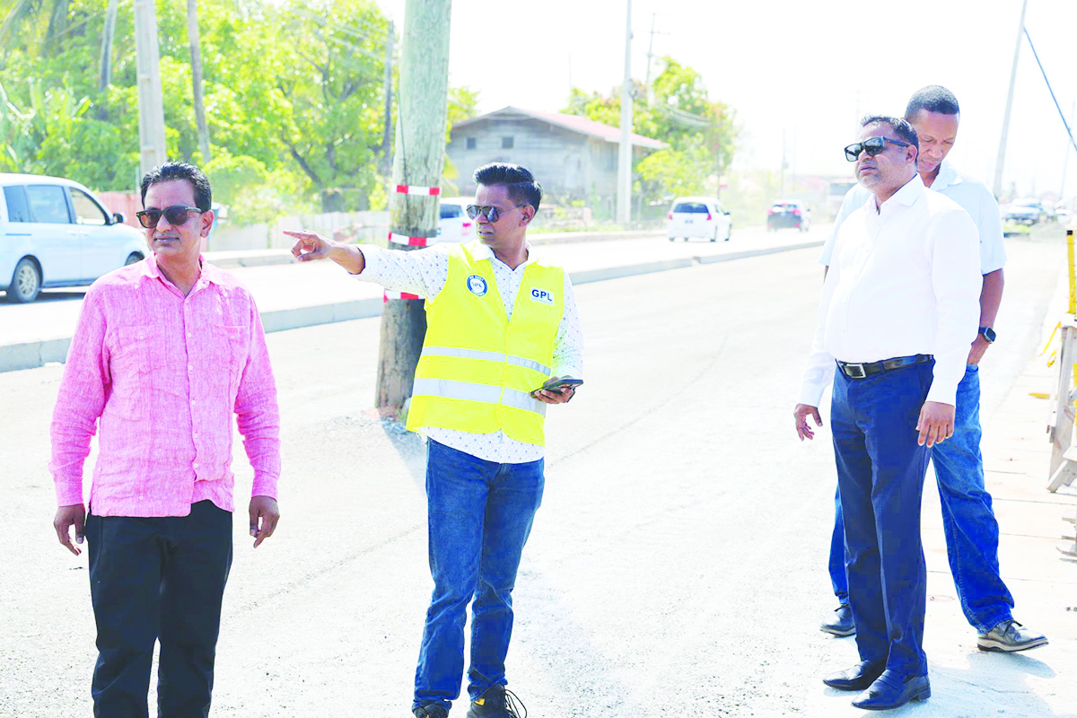 Transmission pole to remain until alternative line is completed – Min Indar