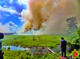 GDF deploys aerial water drops to contain Moblissa savannah fire
